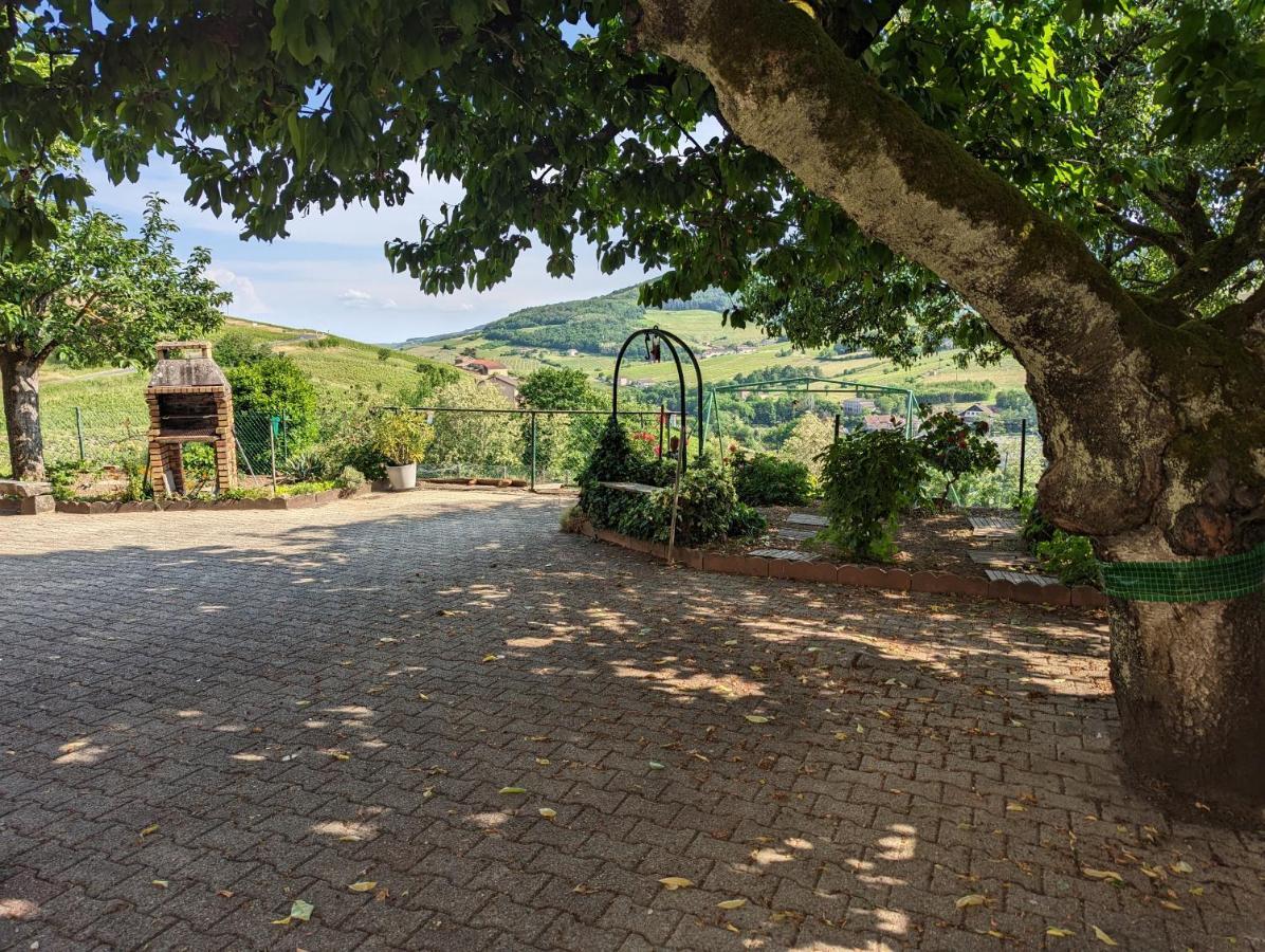 Bed and Breakfast Domaine Viticole Philippe Deschamps Beaujeu  Екстер'єр фото